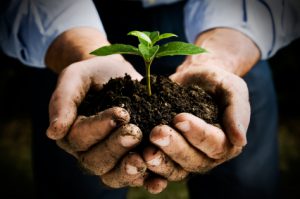 Find an Alabama Forester Near You